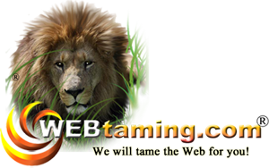 WEBtaming.com Logo